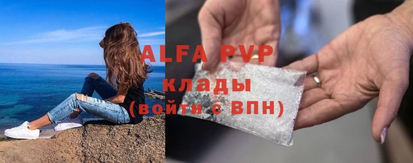 индика Алексин