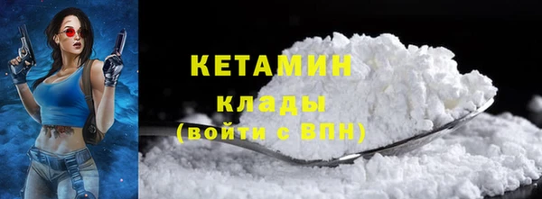 шишки Саяногорск