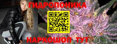 тгк Жуковский