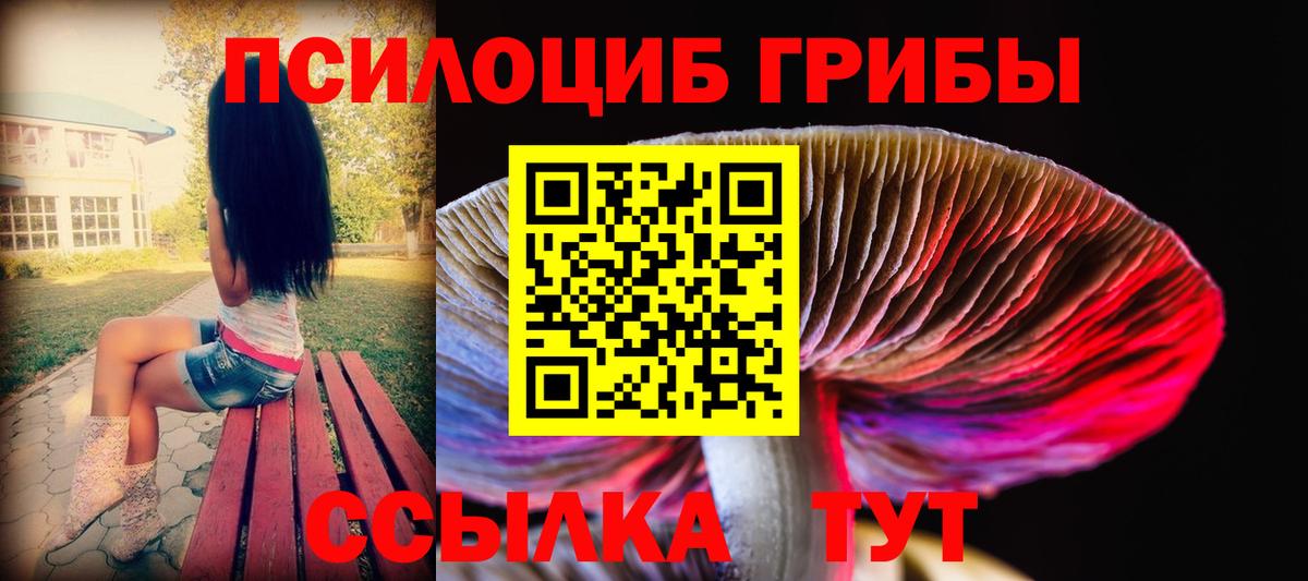 Псилоцибиновые грибы ЛСД Полысаево