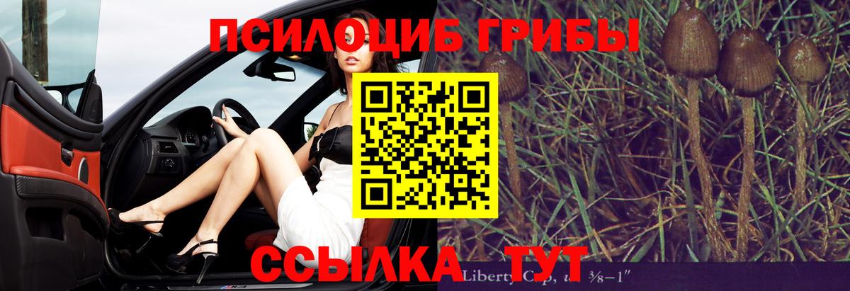 Полысаево  Галлюциногенные грибы Cubensis  Вход с VPN 